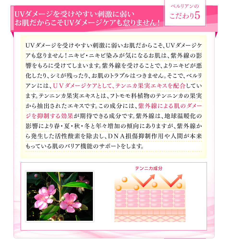 ベルリアンのこだわり5