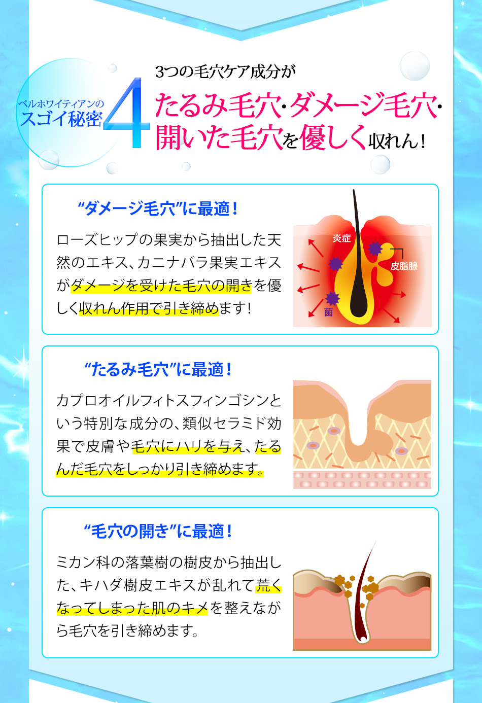 ベルホワイティアンのスゴイ秘密４