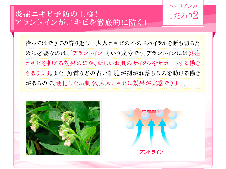 ベルリアンのこだわり2