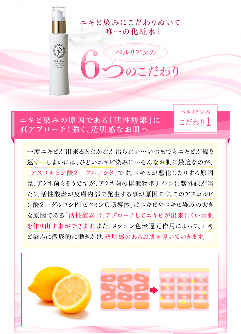 ベルリアンのこだわり1